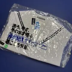 Item thumbnail for item af2bd843-a32d-484f-83ab-ec8c7375445a