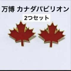 2026年最新】カナダパビリオンの人気アイテム - メルカリ