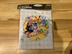 ポケモンカードゲーム コレクションファイル イーブイフレンズのサムネイル