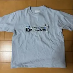 Item thumbnail for item 0353d60f-e155-45cb-b56d-27cbddab12c2