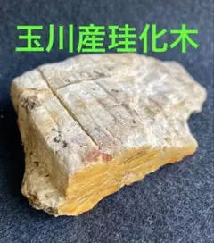 玉川瑪瑙と珪化木国産鉱物と原石No.⁇⁇ 玉川瑪瑙と珪化木 国産鉱物と原石No.742