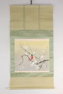 掛軸】山田帆丘「梅花小禽」共箱 花鳥 紅白梅 鶯 - メルカリ