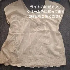 【新品】アナディス　ベージュ レース刺繍シャツ　後ろリボンのサムネイル