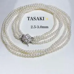 2026年最新】tasaki バッグの人気アイテム - メルカリ 【美品 希少 