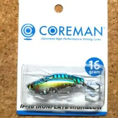 2025年最新】コアマン アイアンプレートの人気アイテム - メルカリ