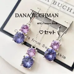 G028/DANA BUCHMAN/お得セット/シルバーネックレスピアス
