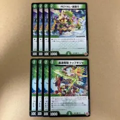 ロイヤルベア ROYAL-減亜5 トップギジャ 各4枚