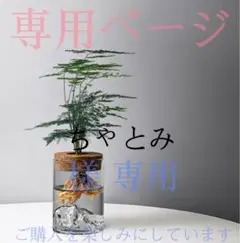 ちゃとみ様 専用