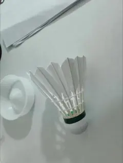 Item thumbnail for item bf9d74da-19f1-483d-a395-fdee137cf663