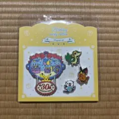 韓国限定 ポケモン 30周年 バースデーパーティー マグネット 第9世代