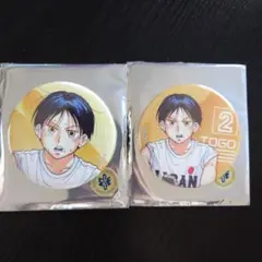 ダイヤモンドの功罪　キャラバッジコレクション　雛桃吾　2個セット　缶バッジ
