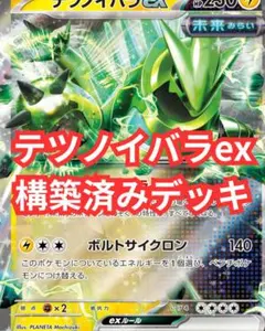 テツノイバラex　構築済みデッキ
