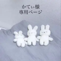 かてぃ様専用ページ ホイップデコ