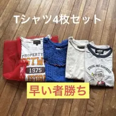 Markey's Big Field Tシャツ プリント