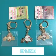 匿名配送 ハローキティ　キーホルダー　北海道　北のどうぶつたち 3点
