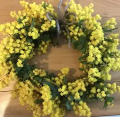 フレッシュミモザのリース　作りたて　直径外周20〜25センチ程