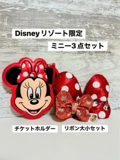 Disney リゾート限定 ミニーマウス 3点セット