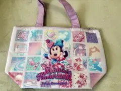ディズニーパルパルーザ ミニーのファンダーランド スーベニアランチケース