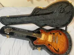 【7/24まで！】T's guitars ARC-Hollow 22のサムネイル