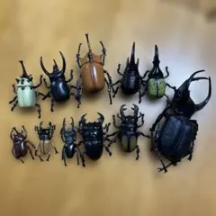 昆虫フィギュア 世界の昆虫 ディアゴスティーニ クワガタ カブトムシ
