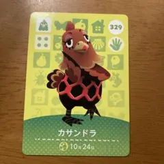 あつまれどうぶつの森 amiibo  カサンドラ