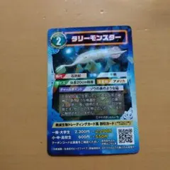 ケタボ様 リクエスト 2点 まとめ商品