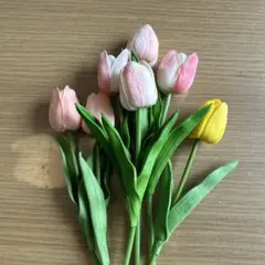 値下げしました！1300➡️1000 チューリップ 7本セット