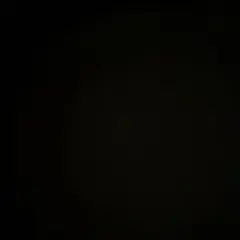 専用