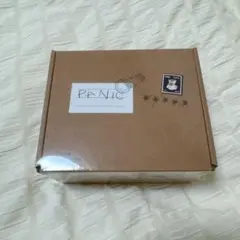 ボムギュ panic アルバム