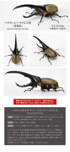 バンダイ いきもの大図鑑 かぶとむし07 単品