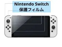 Nintendo Switch 有機ELモデル ガラスフィルム 液晶保護 2枚入