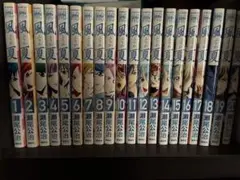 【初版】風夏 全巻セット　未開封あり 風夏 全巻 セット 全20巻 風夏ヒロインとの妄想初体験 瀬尾 公治