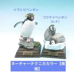 ネイチャーテクニカカラー【南極】コウテイペンギン(ヒナ) イワトビペンギン