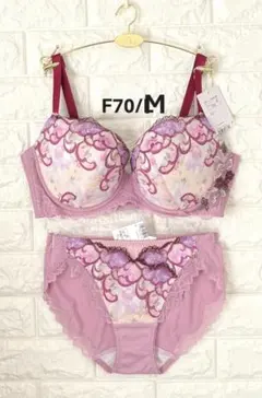 F70M トリンプ プレミアム レッドレーベル 0094ブラ＆ショーツM014
