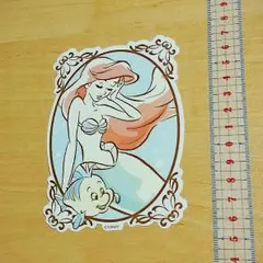 アリエル フランダー ビッグステッカー