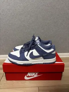 NIKE WMNS DUNK LOW 23cm(us6)