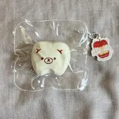 小恩　クマ　歯　スクイーズ