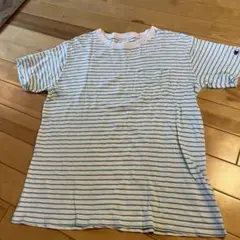 チャンピオン　ボーダーTシャツ(グリーン)