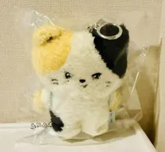 ZB1 Zeroni ぬいぐるみ キーリング rinini リニニ リッキー