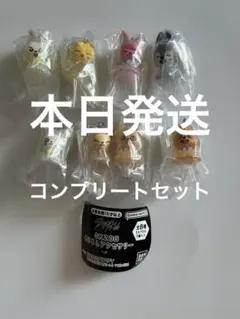 ラスト SKZOO めじるしアクセサリー 全8種コンプリートセット ガチャ