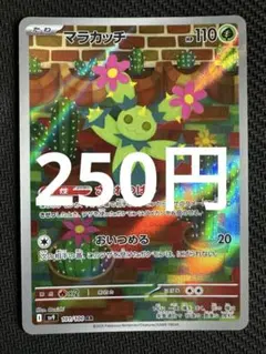 2025年最新】マラカッチARの人気アイテム - メルカリ