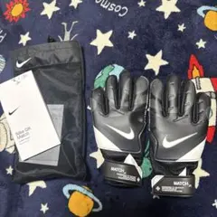 Item thumbnail for item 64c90461-df51-4b09-8523-91c94ebcf4c9