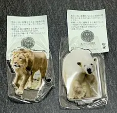 こむぎ様 リクエスト 2点 まとめ商品