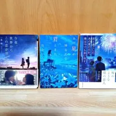 恋愛小説3冊セット 今夜世界からこの恋が消えても 他