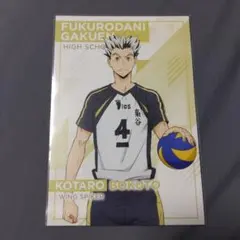ハイキュー 木兎 ポストカード