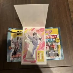 MEIKO アクリルスタンド グロモントPREMIUM 初音ミク コラボ