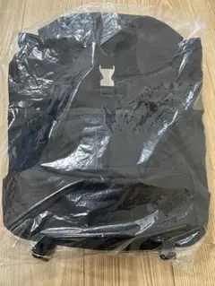 レスポートサック　神崎恵コラボSMART FLAP BACKPACK2 新品のサムネイル