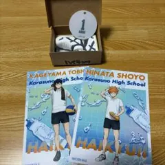 ハイキュー ミニチュアシューズコレクション vol.2 及川徹 青葉成城
