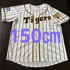 Item thumbnail for item 1b96227d-9f03-457c-acbf-6ba9537e69f7