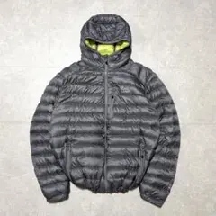 【希少カラー】L.L.Bean goose down jacket gray